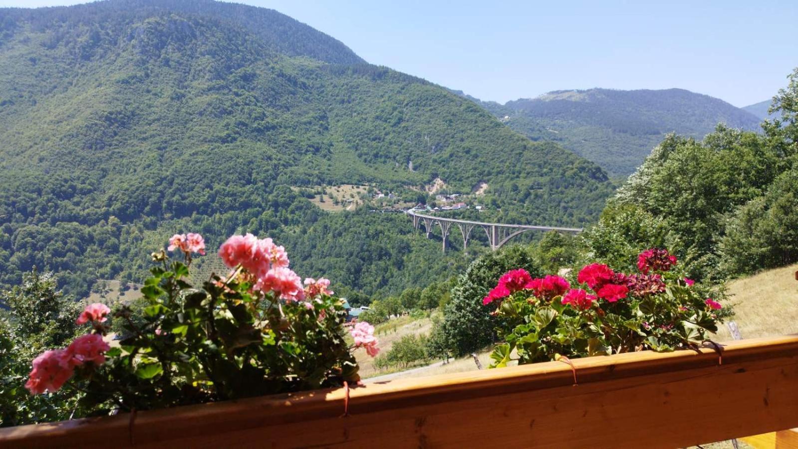 Etno Villas Tara&Petra Žabljak Zewnętrze zdjęcie